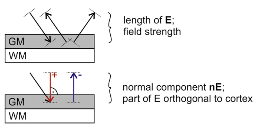 _images/tutorial_normal.png